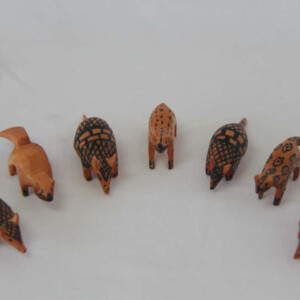 FAUNA AMAZONAS